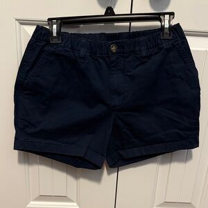 Men’s Navy Blue Chubbies Casual Shorts
